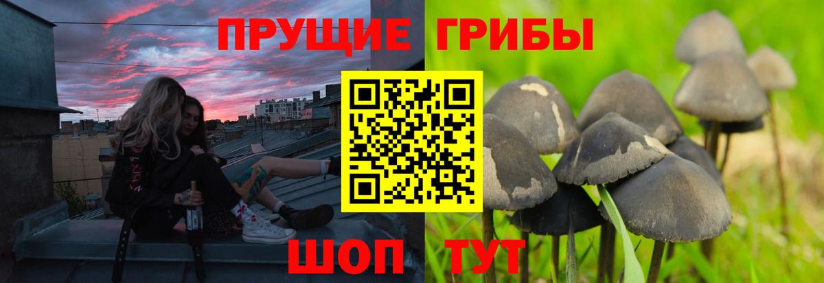 Галлюциногенные грибы Psilocybe  Вход с VPN  Армавир 